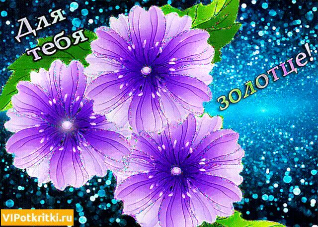 Гифка для тебя золотце